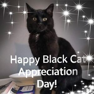 Meet your Posher, Karin